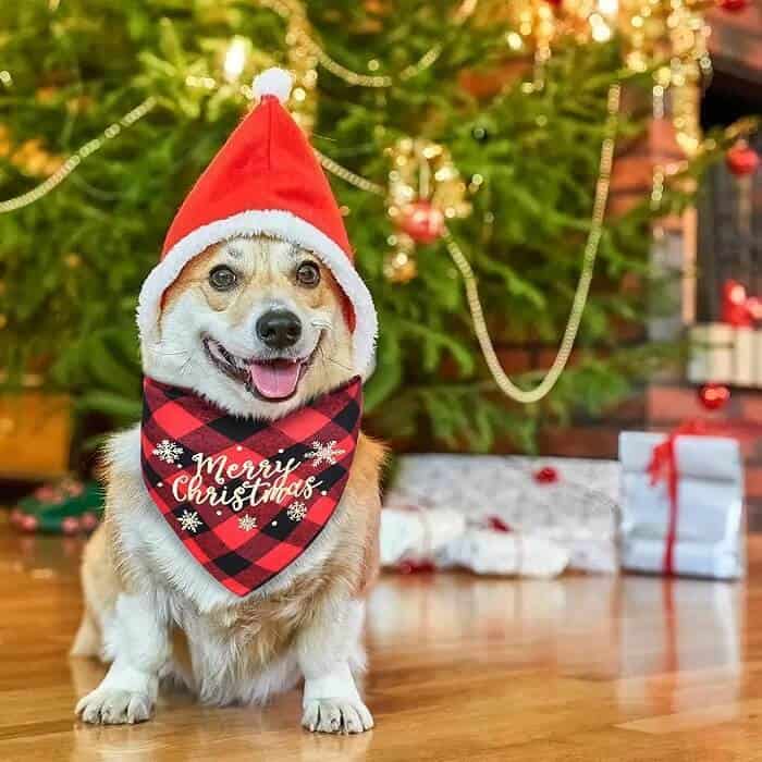 Malier Classic Christmas dog bandana