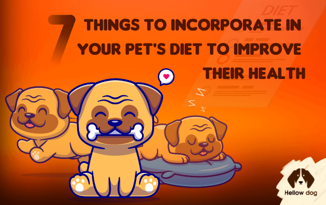 improve your dog health