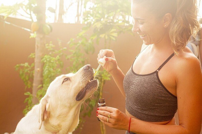 natural herbs oil safe for dogs