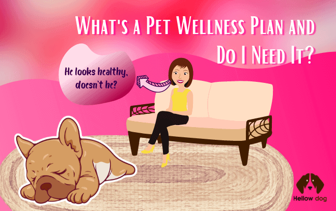 Do I Need Pet Wellness Plan