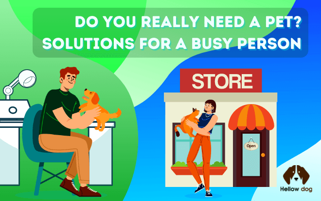 Do You Really Need A Pet Solutions for a Busy Person