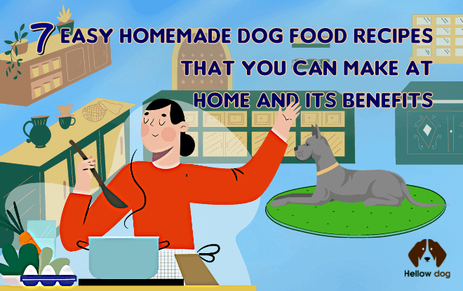 Easy Homemade Dog Food Recipes