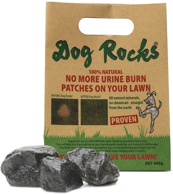 best dog rocks for grass