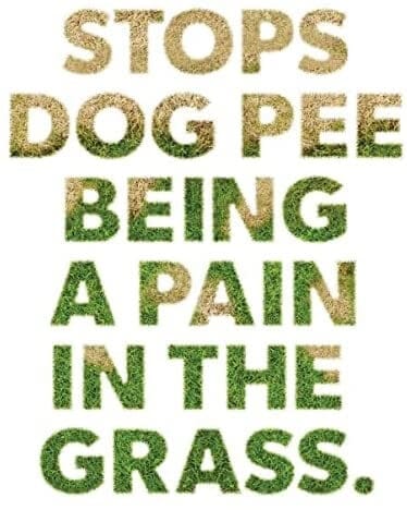 how to prevent yellow grass from dog pee