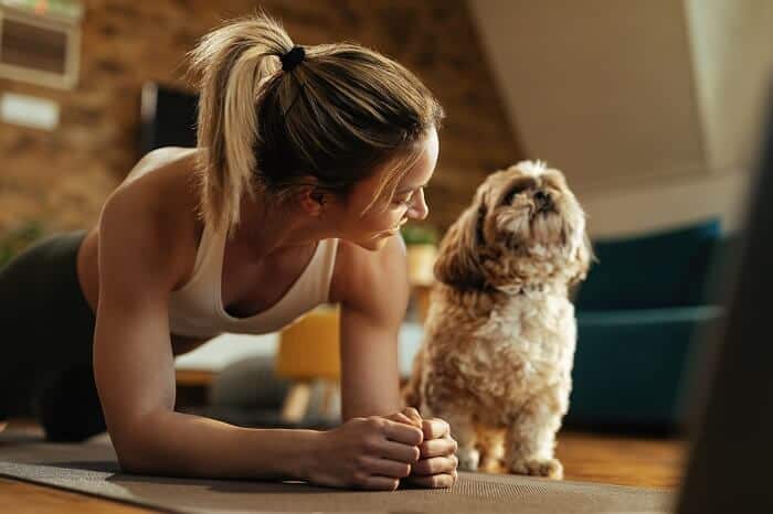 Force Your Dog to Do Exercise for Dog Live Longer