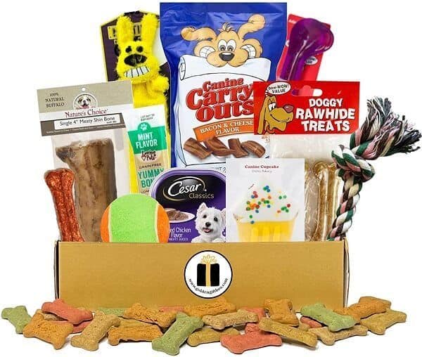 Gift Box basket a homeless dog