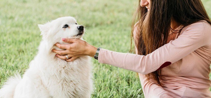 Give your dog a lot of love, love is the key to living longer