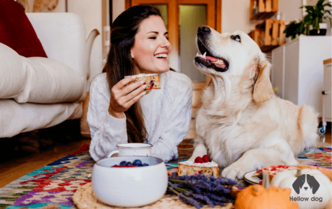 Make sure your dog is getting the right food