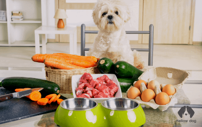 Making natural dog food at home