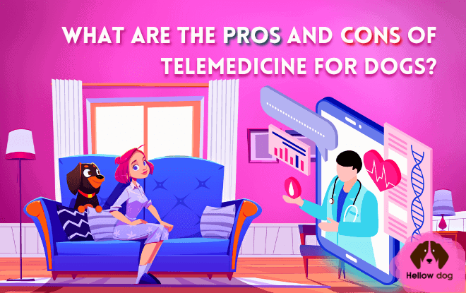 Telemedicine for dogs