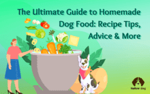 The Ultimate Guide to Homemade Dog Food Recipe Tips, Advice & More