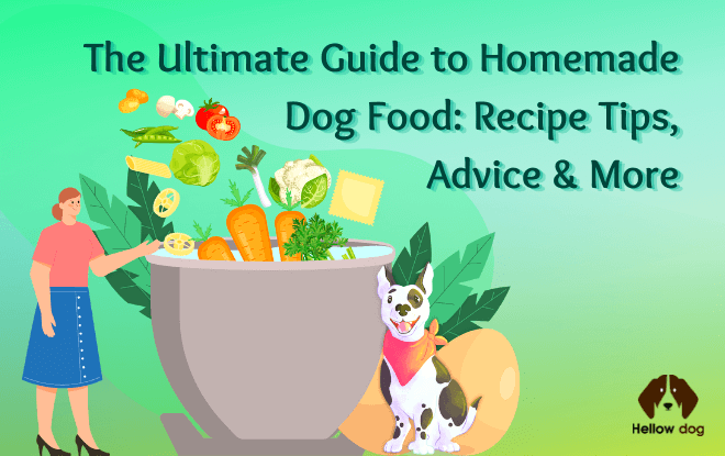 The Ultimate Guide to Homemade Dog Food Recipe Tips, Advice & More