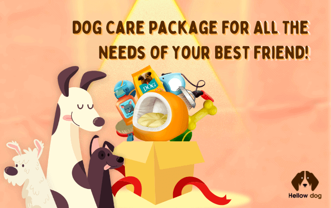 dog care packages pet supplies