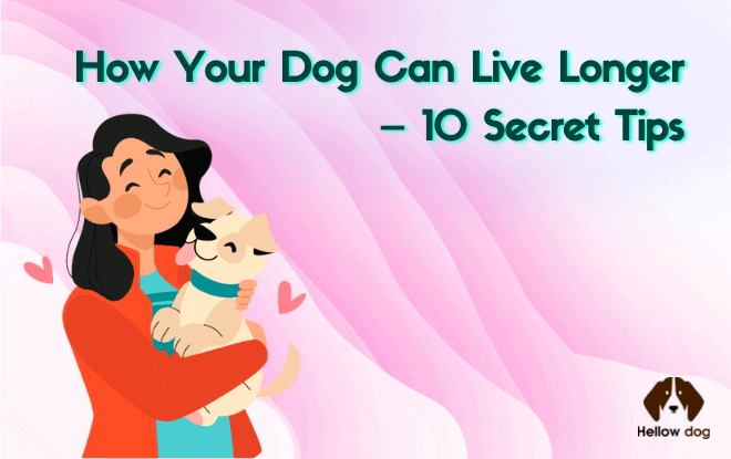 dog live longer secret tips