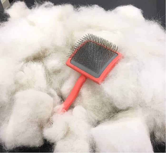 goldendoodle brushes for grooming