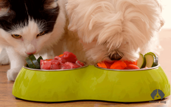 pet nutritional requirements homemade food