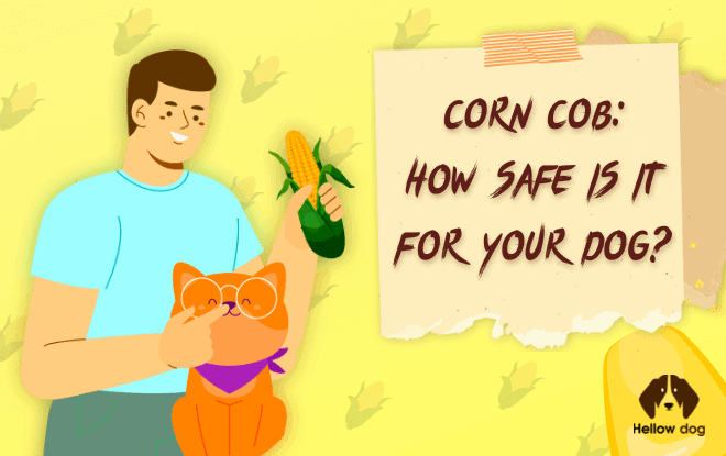 Can Dogs Eat Corn Cobs