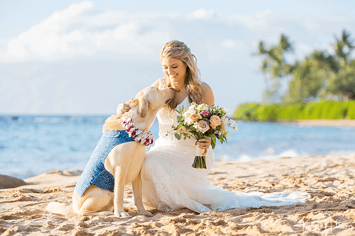 HOW TO INVOLVE YOUR DOG AT Your engagement Session 