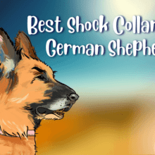 Shock Collar for German Shepherds