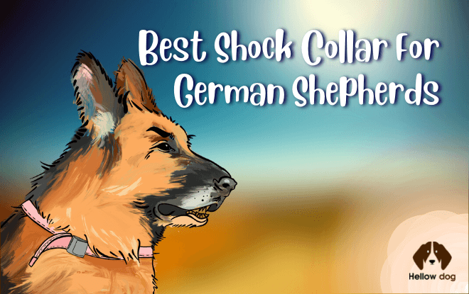 Shock Collar for German Shepherds