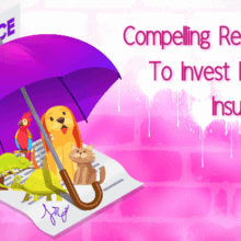 pet insurance compare the market