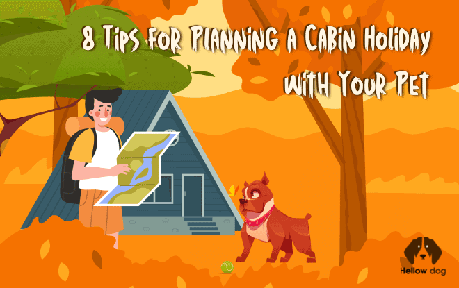 Cabin Holiday with Your Pet