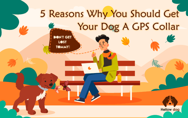 GPS pet tracker no money fee