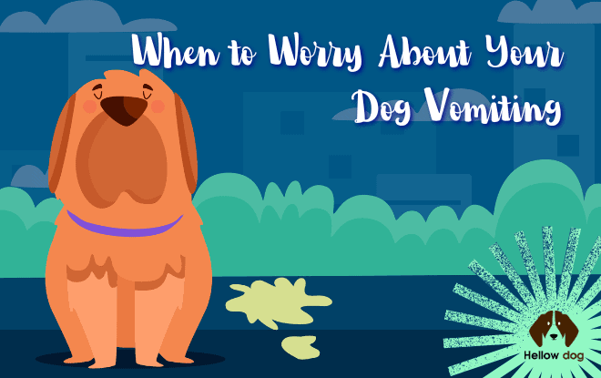 When to Worry About Your Dog Vomiting
