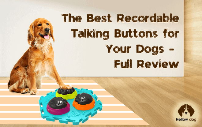 recordable talking buttons for dogs