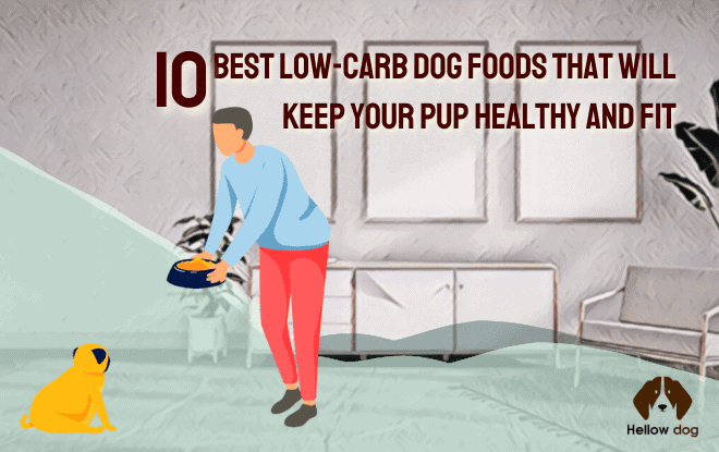 10 Best Low-Carb Dog Foods