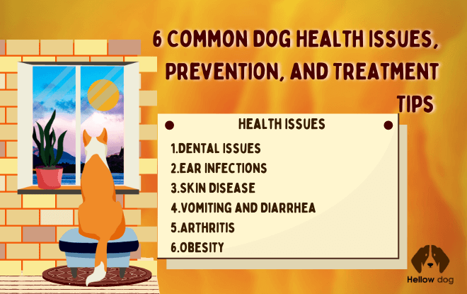 Common dog health issues in dogs