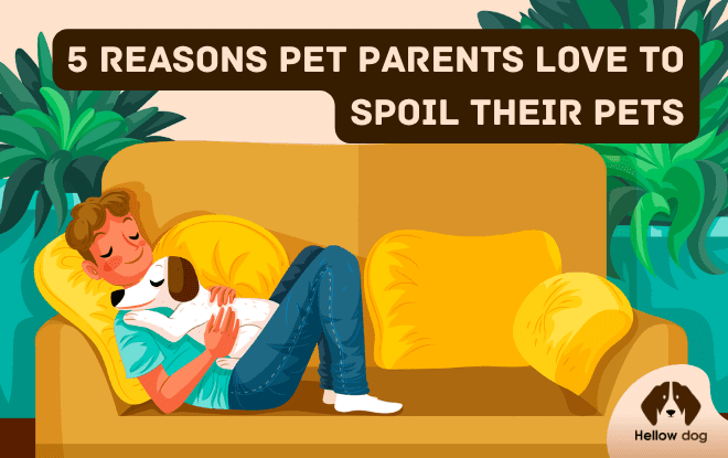 5 Reasons Pet Parents Love to Spoil Their Pets