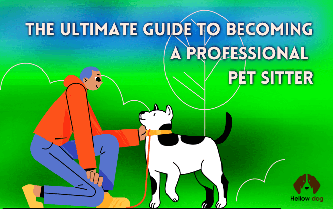 Guide to Becoming a Professional Pet Sitter