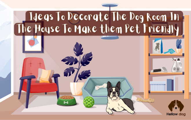 Ideas to Decorate the dog room in the house to make them pet friendly
