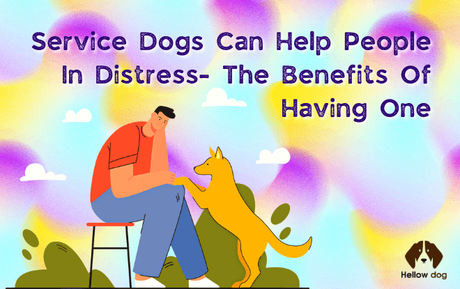 Service Dogs can Help People in distress