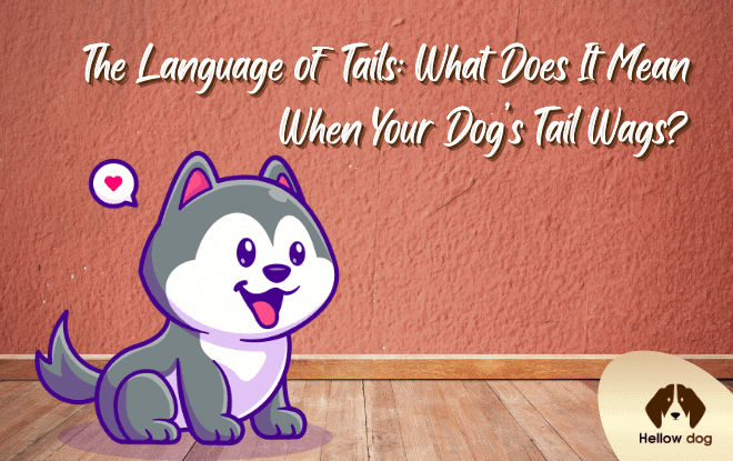 The Language of Tails What Does It Mean When Your Dog’s Tail Wags