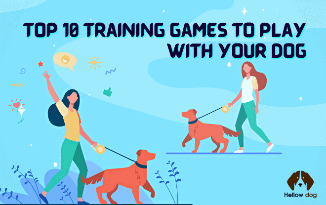Top 10 Training Games to Play With Your Dog