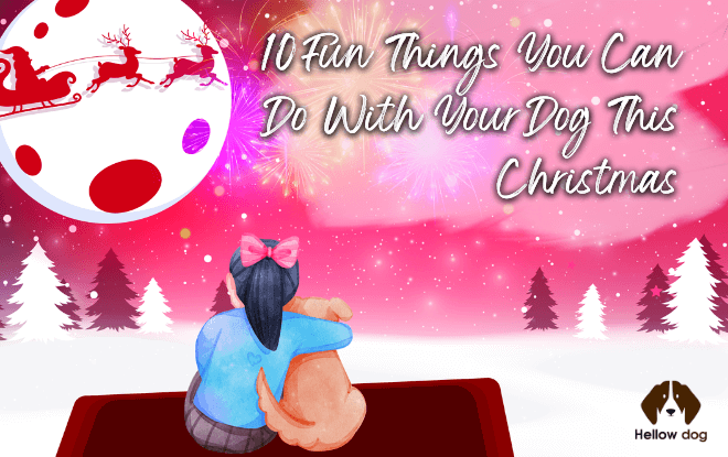 fun ideas with your dog this Christmas