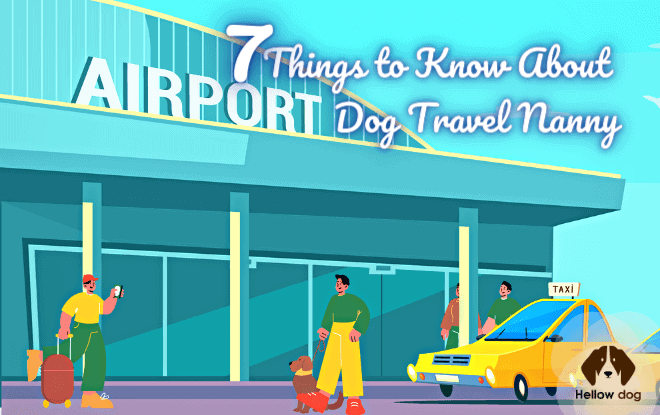 7 Things to Know About Dog Travel Nanny