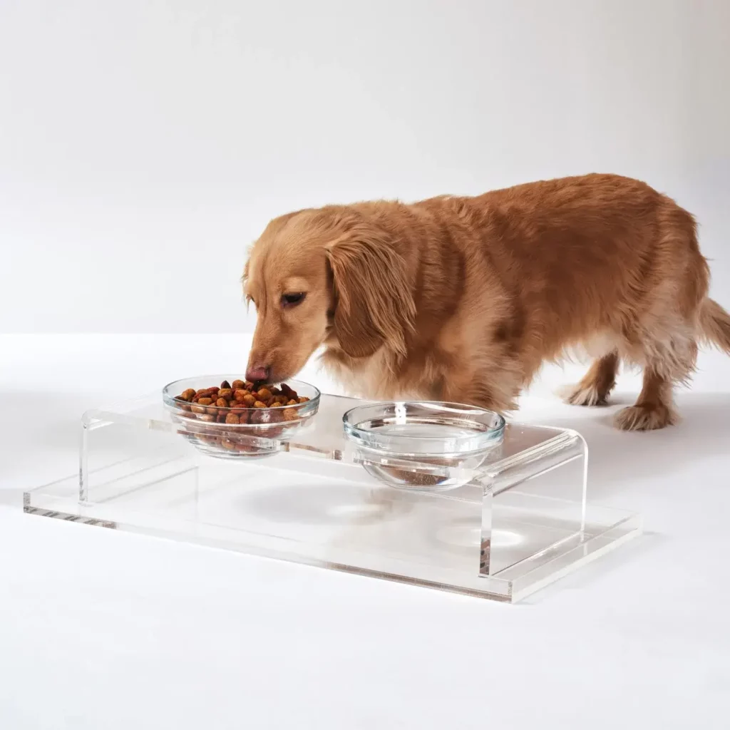 Clear Double Dog Bowl