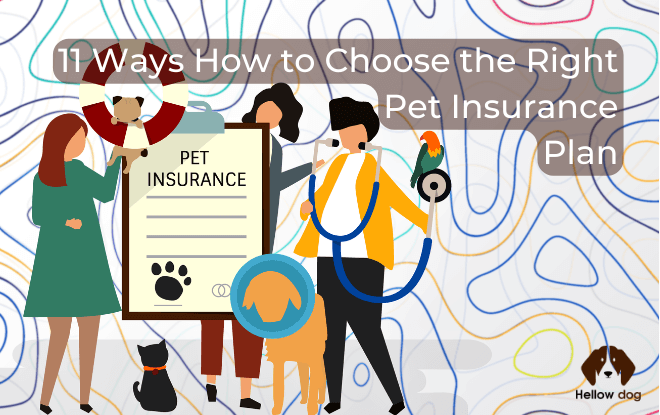11 Ways How to Choose the Right Pet Insurance Plan