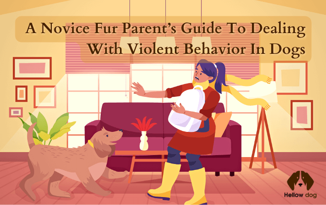 A Novice Fur Parent's Guide to Dealing with Violent Behavior in Dogs