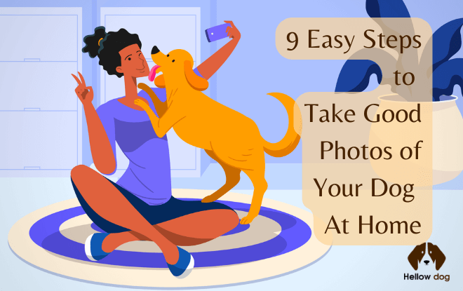 How to Take Good Photos of Your Dog At Home