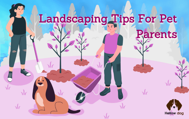 Landscaping Tips For Pet Parents