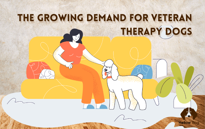 The Growing demand for veteran therapy dogs