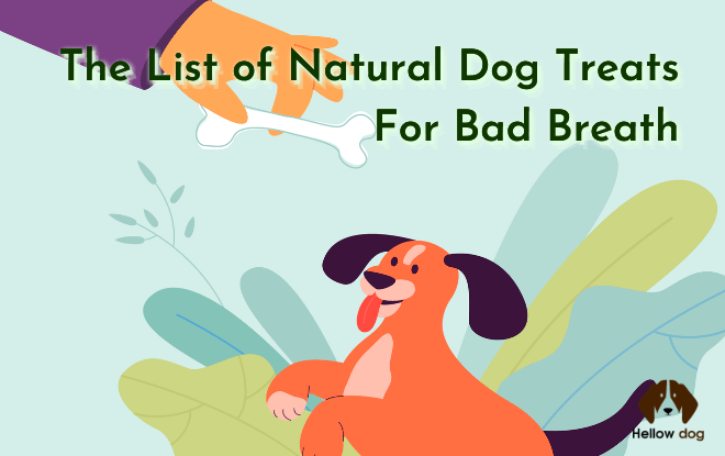 The List of Natural Dog Treats For Bad Breath