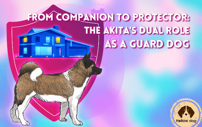Are Akitas Good Guard Dogs