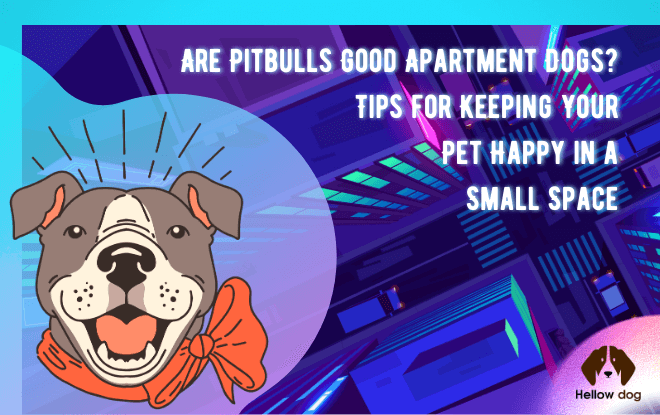 Can Pitbulls live in apartments