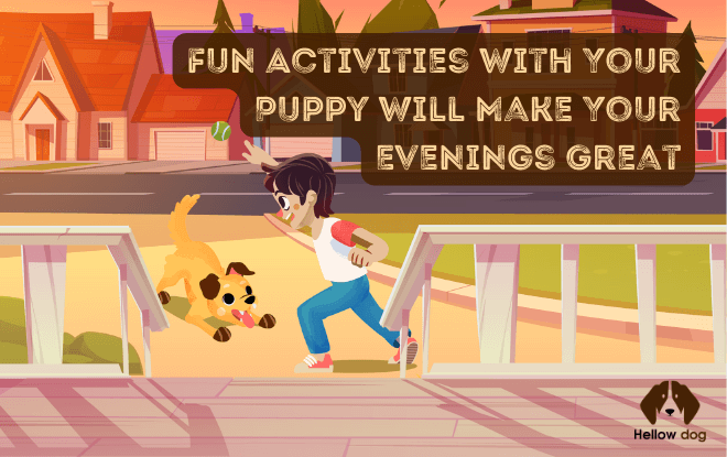 Fun Activities With Your Puppy Will Make Your Evenings Great