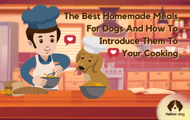 The Best Homemade Meals For Dogs And How To Introduce Them To Your Cooking
